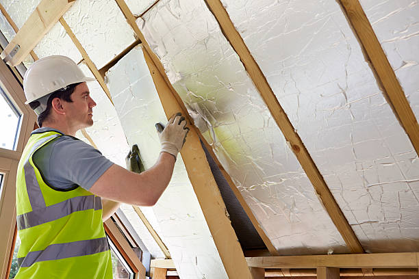 Best Types of Insulation in Frankfort Square, IL